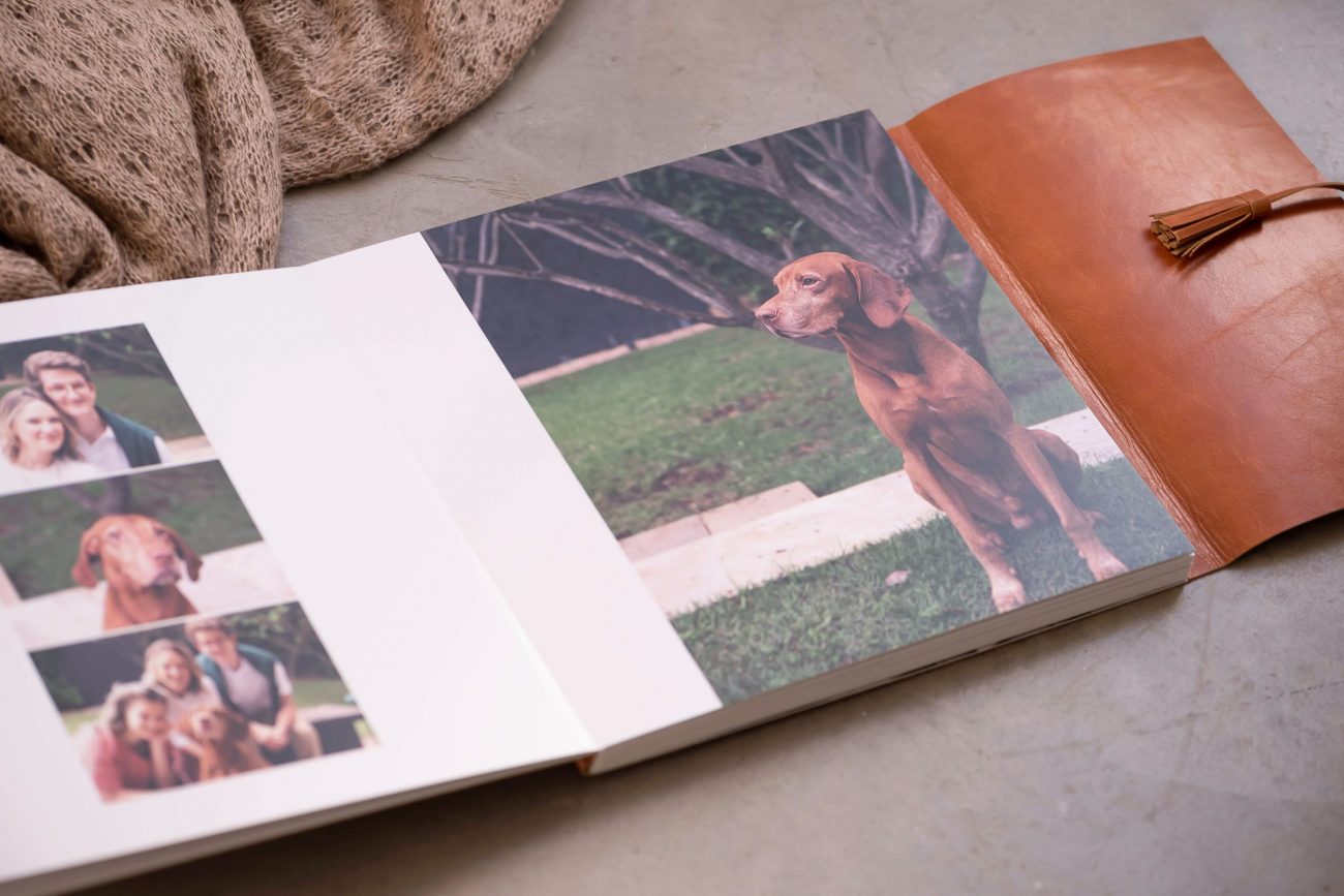 álbum de fotografia de qualidade capa de couro papel fotógrafico fotógrafa laura alzueta professora de fotografia newborn e de família fotos com cachorro fotos com pets